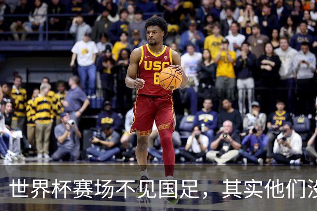 世界杯赛场不见国足，其实他们没“闲着”丨中听