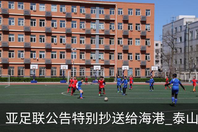 亚足联公告特别抄送给海港 泰山队尚有上诉可能